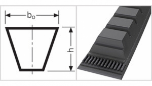 Клиновой ремень BX 29 BX 782 ContiTech фото | shop-crystal.ru